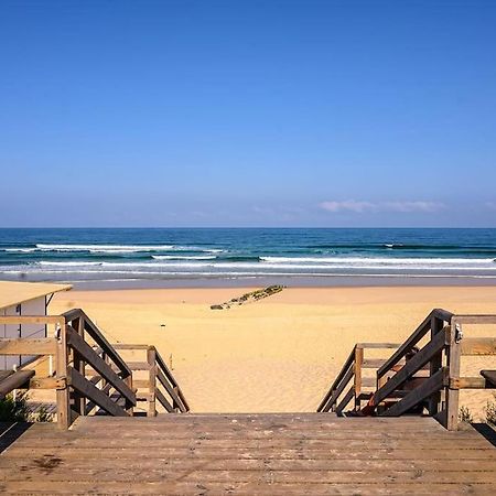 Mimizan-Plage La Cabane Maddyblue 5 Min A Pieds De L'Ocean Et Commerce מראה חיצוני תמונה